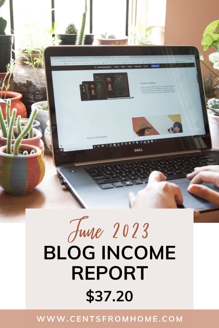 June 2023 Blog income report